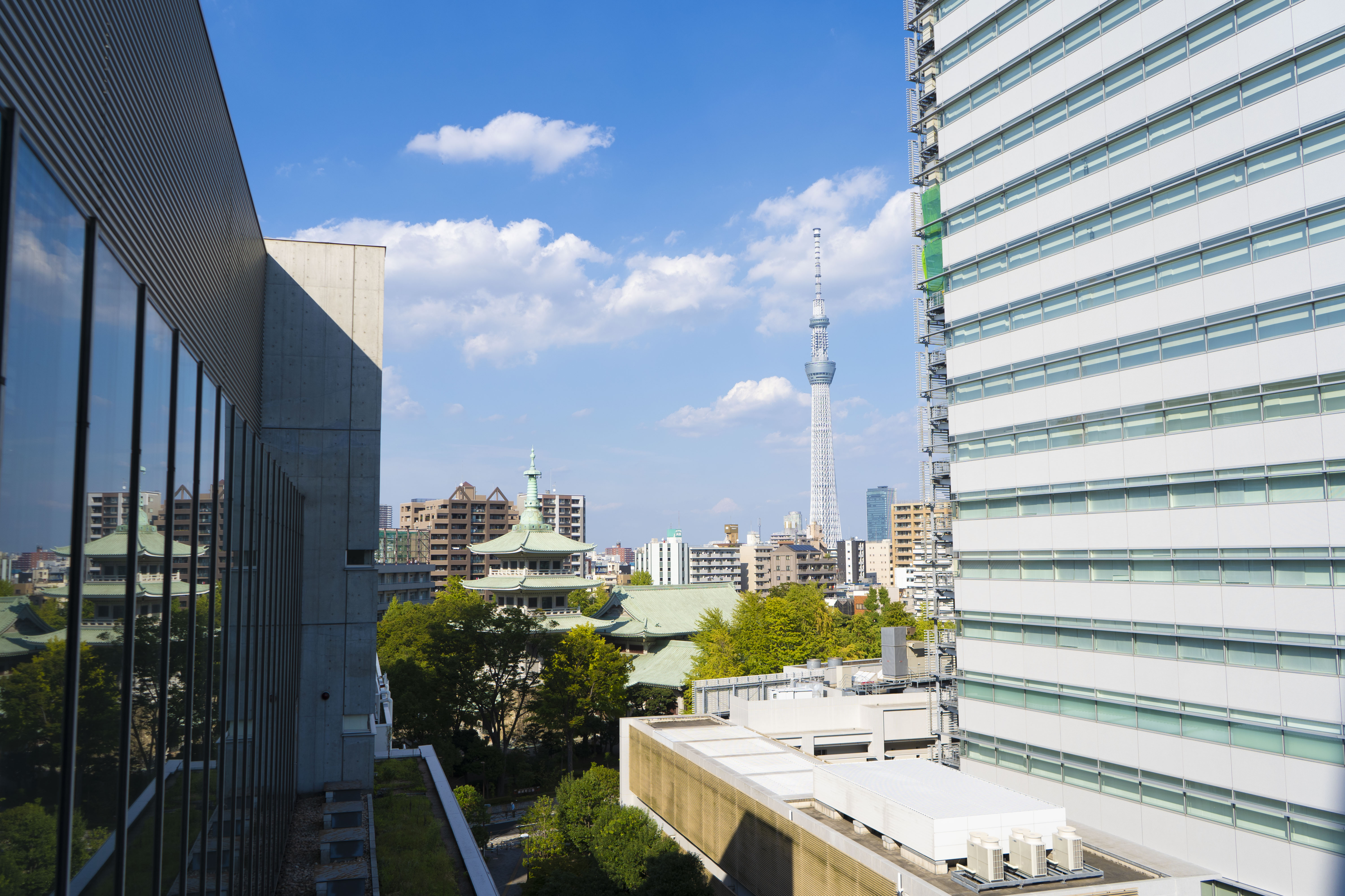 LUJ to Host 11th Annual Conference on Global Higher Education