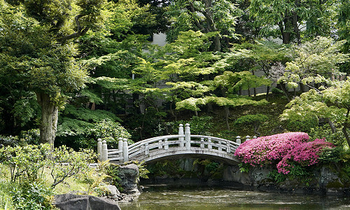The Kyu-Yasuda Garden